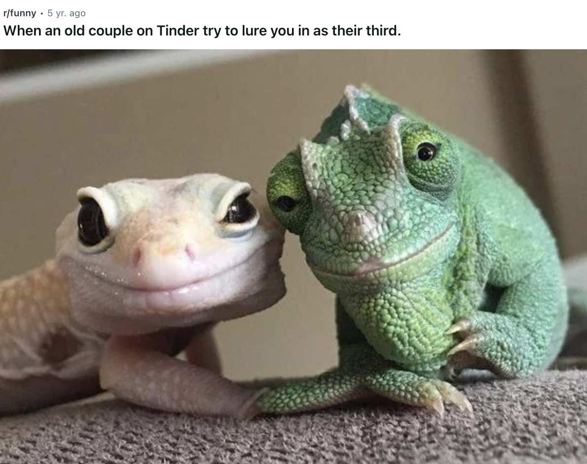iguana - rfunny 5 yr. ago When an old couple on Tinder try to lure you in as their third.